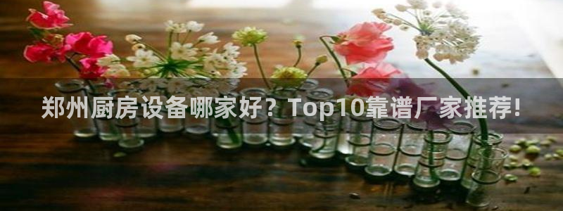 尊龙凯时ag旗舰厅官：郑州厨房设备哪家好？Top10靠谱厂家