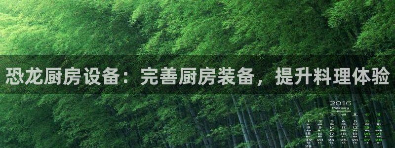 ag旗舰平台尊龙代言：恐龙厨房设备：完善厨房装备，提升料理体