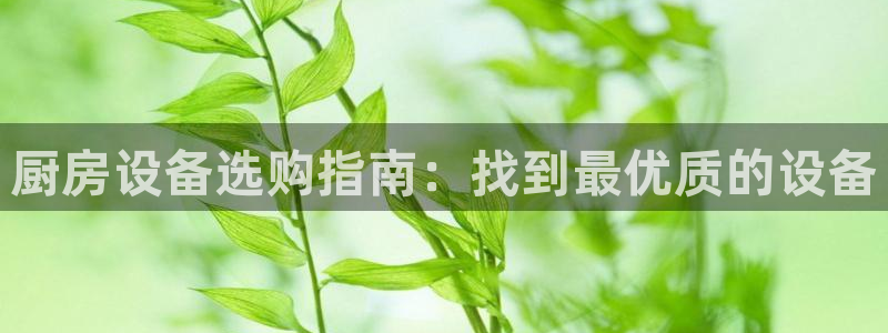 凯时网上官方网站：厨房设备选购指南：找到最优质的设备