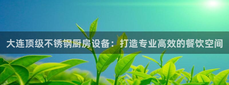 kb88凯时会员登录：大连顶级不锈钢厨房设备：打造专业高效的