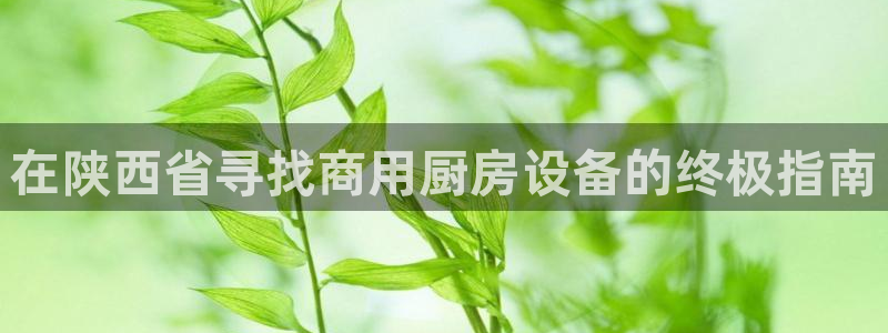 尊龙人生就是博手机版下载：在陕西省寻找商用厨房设备的终极指南