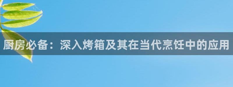 尊龙网站 人生就是博：厨房必备：深入烤箱及其在当代烹饪中的应