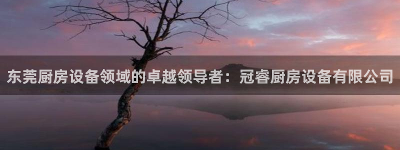 尊龙凯时官网版登录：东莞厨房设备领域的卓越领导者：冠睿厨房设