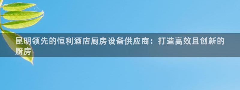 下载尊龙app：昆明领先的恒利酒店厨房设备供应商：打造高效且