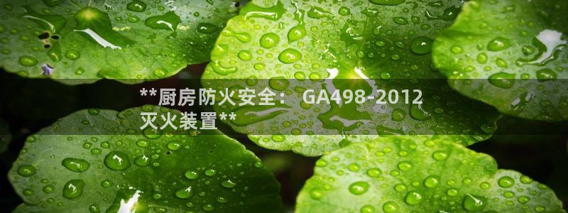 尊龙人生就是博旧：**厨房防火安全： GA498-2012 