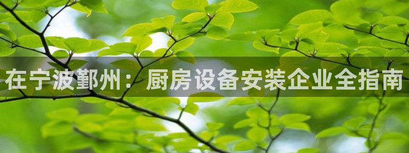 尊龙凯时为什么输了钱：在宁波鄞州：厨房设备安装企业全指南