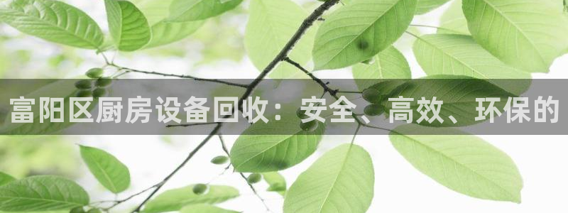 尊龙人生就是博ag：富阳区厨房设备回收：安全、高效、环保的