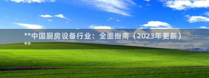 尊龙凯时法拉币：**中国厨房设备行业：全面指南（2023年更