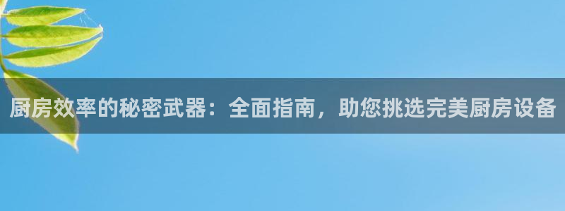 尊龙手机客户端app：厨房效率的秘密武器：全面指南，助您挑选