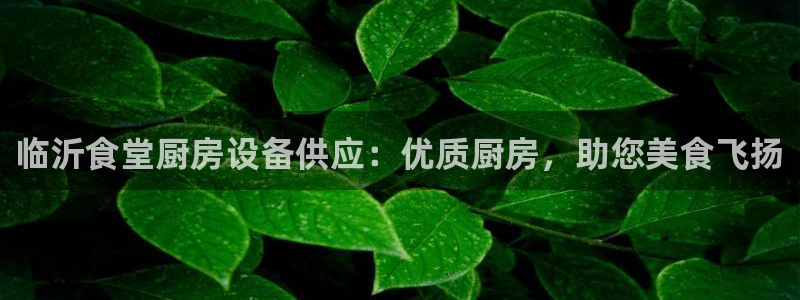 凯时旗舰厅App下载：临沂食堂厨房设备供应：优质厨房，助您美