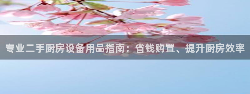 尊龙会：专业二手厨房设备用品指南：省钱购置、提升厨房效率